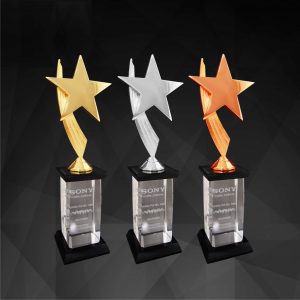 Plastic Star Trophies CTCR9146 – Exclusive Star Awards (GOLD, SILVER, BRONZE) | Trophy Supplier at Clazz Trophy Malaysia