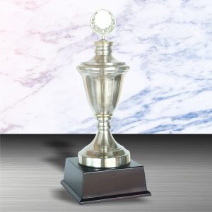 White Silver Trophies CTEXWS6001 – Exclusive White Silver Trophy | Trophy Supplier at Clazz Trophy Malaysia