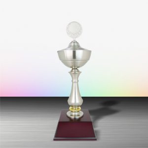 White Silver Trophies CTEXWS6005 – Exclusive White Silver Trophy | Trophy Supplier at Clazz Trophy Malaysia