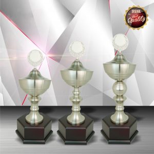 White Silver Trophies CTEXWS6028 – Exclusive White Silver Trophy | Trophy Supplier at Clazz Trophy Malaysia