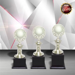 White Silver Trophies CTEXWS6029 – Exclusive White Silver Trophy | Trophy Supplier at Clazz Trophy Malaysia
