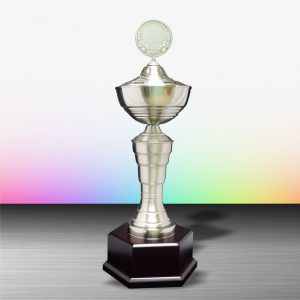 White Silver Trophies CTEXWS6039 – Exclusive White Silver Trophy | Trophy Supplier at Clazz Trophy Malaysia