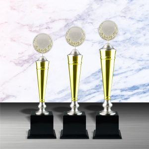 Gold colored White Silver Trophies CTEXWS6040 –  Exclusive Gold White Silver Trophy | Trophy Supplier at Clazz Trophy Malaysia