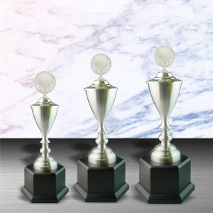 White Silver Trophies CTEXWS6042 – Exclusive White Silver Trophy | Trophy Supplier at Clazz Trophy Malaysia