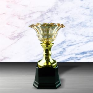 Silver Crystal Bowl Trophies CTEXWS6049 – Exclusive White Silver Trophy With Crystal Bowl | Trophy Supplier at Clazz Trophy Malaysia