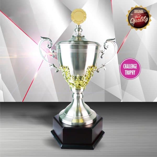 Silver Cup Trophies CTEXWS6062 – Exclusive Gold White Silver Cup Trophy | Clazz Trophy Supplier Malaysia