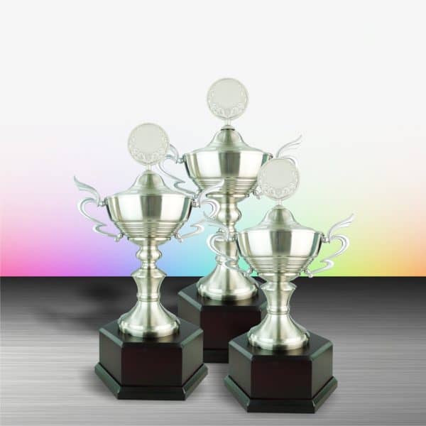 Silver Cup Trophies CTEXWS6065 – Exclusive White Silver Cup Trophy | Clazz Trophy Supplier Malaysia