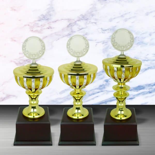 Silver Cup Trophies CTEXWS6076 – Exclusive Gold Silver Cup Trophy | Clazz Trophy Supplier Malaysia