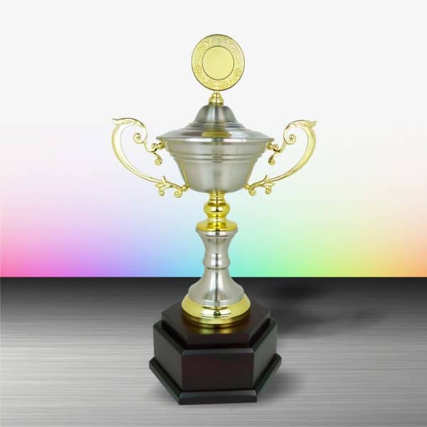 Silver Cup Trophies CTEXWS6077 – Exclusive Gold Silver Cup Trophy | Clazz Trophy Supplier Malaysia