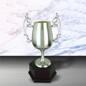 White Silver Trophies CTEXWS6083 – Exclusive White Silver Trophy | Trophy Supplier at Clazz Trophy Malaysia