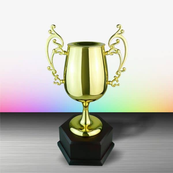 Gold colored White Silver Trophies CTEXWS6084 – Exclusive Gold Silver Trophy | Trophy Supplier at Clazz Trophy Malaysia