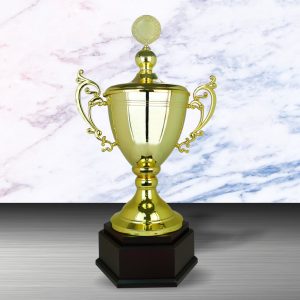 Silver Cup Trophies CTEXWS6089 – Exclusive Gold Silver Cup Trophy | Trophy Supplier at Clazz Trophy Malaysia