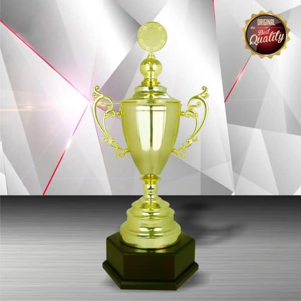 Silver Cup Trophies CTEXWS6090 – Exclusive Gold Silver Cup Trophy | Trophy Supplier at Clazz Trophy Malaysia