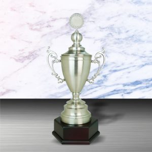 Silver Cup Trophies CTEXWS6091 – Exclusive White Silver Cup Trophy | Trophy Supplier at Clazz Trophy Malaysia