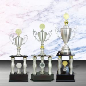 Silver Cup Trophies CTEXWS6093 – Exclusive Gold Silver Cup Trophy | Trophy Supplier at Clazz Trophy Malaysia