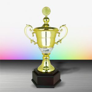 Silver Cup Trophies CTEXWS6095 – Exclusive Gold Silver Cup Trophy | Trophy Supplier at Clazz Trophy Malaysia