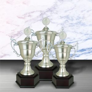 Silver Cup Trophies CTEXWS6096 – Exclusive White Silver Cup Trophy | Trophy Supplier at Clazz Trophy Malaysia