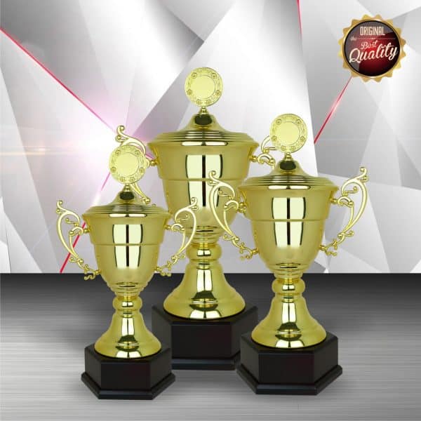 Silver Cup Trophies CTEXWS6098 – Exclusive Gold Silver Cup Trophy | Trophy Supplier at Clazz Trophy Malaysia