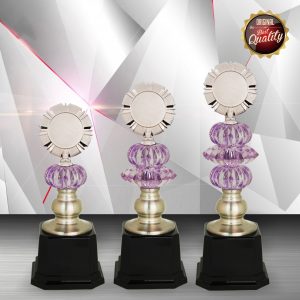 White Silver Trophies CTEXWS6110 – Exclusive White Silver Trophy | Trophy Supplier at Clazz Trophy Malaysia