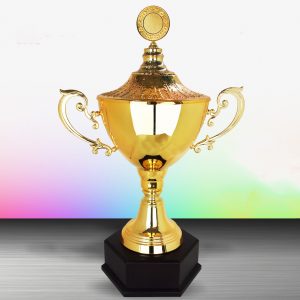 Silver Cup Trophies CTEXWS6112 – Exclusive Gold Silver Cup Trophy | Trophy Supplier at Clazz Trophy Malaysia