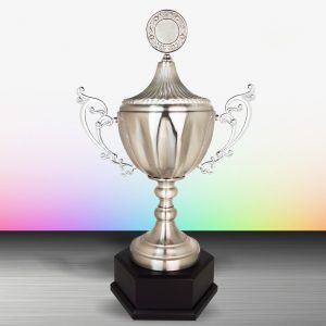 Silver Cup Trophies CTEXWS6113 – Exclusive White Silver Cup Trophy | Trophy Supplier at Clazz Trophy Malaysia