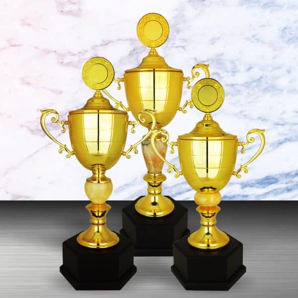 Silver Cup Trophies CTEXWS6116 – Exclusive Gold Silver Cup Trophy | Clazz Trophy Supplier Malaysia