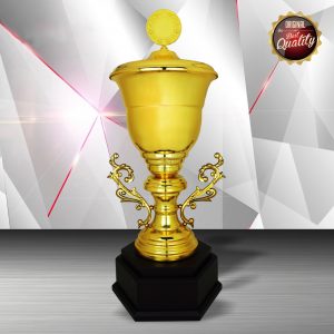 Silver Cup Trophies CTEXWS6121 – Exclusive Gold Silver Cup Trophy | Trophy Supplier at Clazz Trophy Malaysia