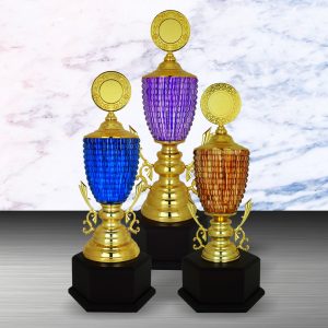 Gold colored White Silver Trophies CTEXWS6124 – Exclusive Gold Silver Trophy | Trophy Supplier at Clazz Trophy Malaysia