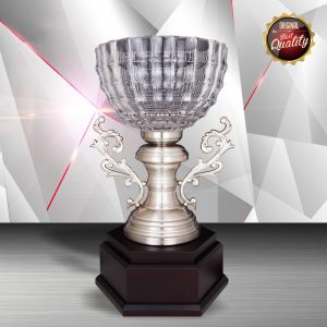 Silver Crystal Bowl Trophies CTEXWS6126 – Exclusive White Silver Crystal Bowl Trophy | Trophy Supplier at Clazz Trophy Malaysia