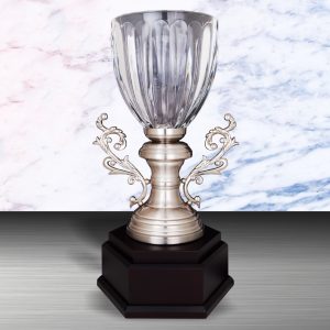 Silver Crystal Vase Trophies CTEXWS6130 – Exclusive White Silver Crystal Vase Trophy | Trophy Supplier at Clazz Trophy Malaysia
