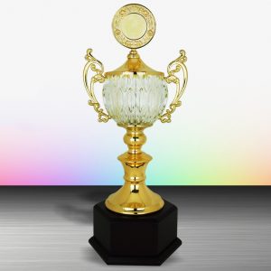 Silver Crystal Bowl Trophies CTEXWS6134 – Exclusive Gold Silver Crystal Bowl Trophy | Trophy Supplier at Clazz Trophy Malaysia