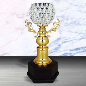 Silver Crystal Bowl Trophies CTEXWS6136 – Exclusive Gold Silver Crystal Bowl Trophy | Trophy Supplier at Clazz Trophy Malaysia