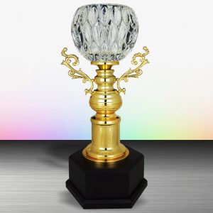 Silver Crystal Bowl Trophies CTEXWS6137 – Exclusive Gold Silver Crystal Bowl Trophy | Trophy Supplier at Clazz Trophy Malaysia