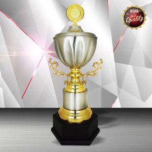 Silver Cup Trophies CTEXWS6141 – Exclusive Gold Silver Cup Trophy | Trophy Supplier at Clazz Trophy Malaysia