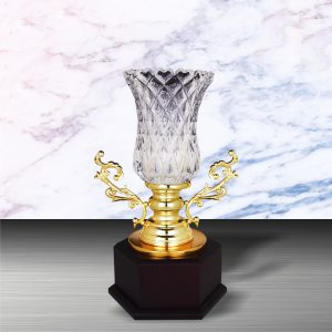 Silver Crystal Vase Trophies CTEXWS6147 – Exclusive Gold Silver Crystal Vase Trophy | Trophy Supplier at Clazz Trophy Malaysia