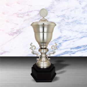 Silver Cup Trophies CTEXWS6151 – Exclusive White Silver Cup Trophy | Trophy Supplier at Clazz Trophy Malaysia