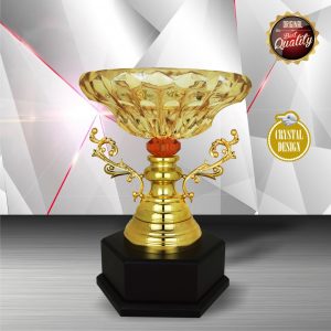 Silver Crystal Bowl Trophies CTEXWS6157 – Exclusive Gold Silver Crystal Bowl Trophy | Trophy Supplier at Clazz Trophy Malaysia