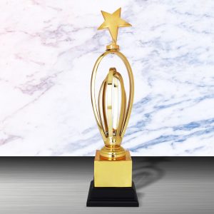 Silver Star Trophies CTEXWS6158 – Exclusive Gold Silver Star Trophy | Trophy Supplier at Clazz Trophy Malaysia