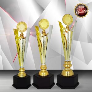 Gold colored White Silver Trophies CTEXWS6163 – Exclusive Gold Silver Trophy | Trophy Supplier at Clazz Trophy Malaysia