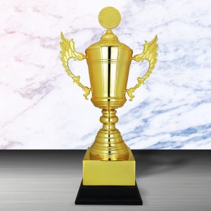 Silver Cup Trophies CTEXWS6167 – Exclusive Gold Silver Cup Trophy | Trophy Supplier at Clazz Trophy Malaysia
