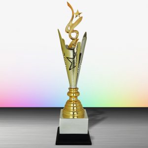 Silver Star Trophies CTEXWS6174 – Exclusive Gold Silver Star Trophy | Trophy Supplier at Clazz Trophy Malaysia