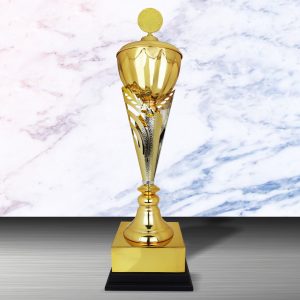 Gold colored White Silver Trophies CTEXWS6176 – Exclusive Gold Silver Trophy | Trophy Supplier at Clazz Trophy Malaysia
