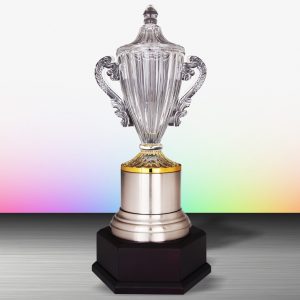 Silver Crystal Vase Trophies CTEXWS6177 – Exclusive White Silver Crystal Vase Trophy | Trophy Supplier at Clazz Trophy Malaysia