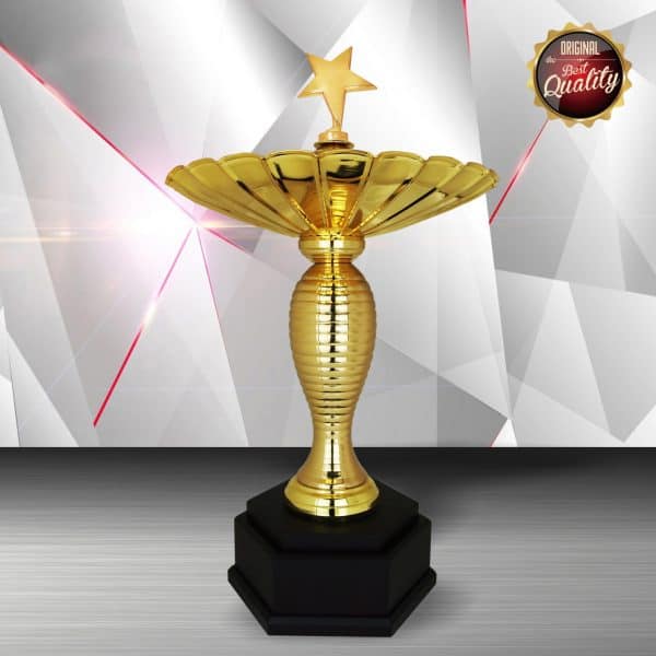 Silver Star Trophies CTEXWS6185 – Exclusive Gold Silver Star Trophy | Clazz Trophy Supplier Malaysia