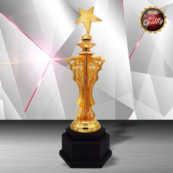 Silver Star Trophies CTEXWS6189 – Exclusive Gold Silver Star Trophy | Trophy Supplier at Clazz Trophy Malaysia