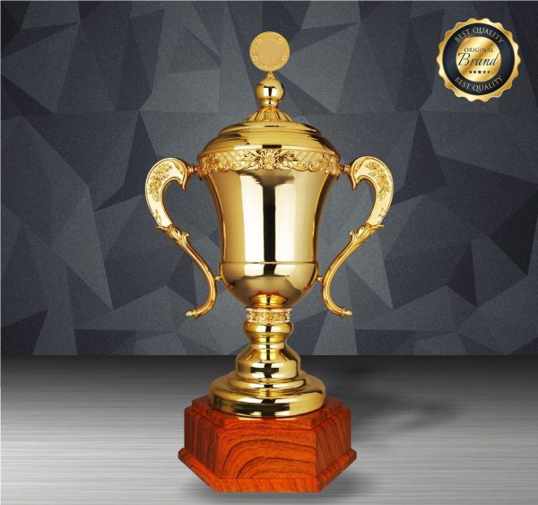 Silver Cup Trophies CTEXWS6198 – Exclusive Gold Silver Cup Trophy | Trophy Supplier at Clazz Trophy Malaysia