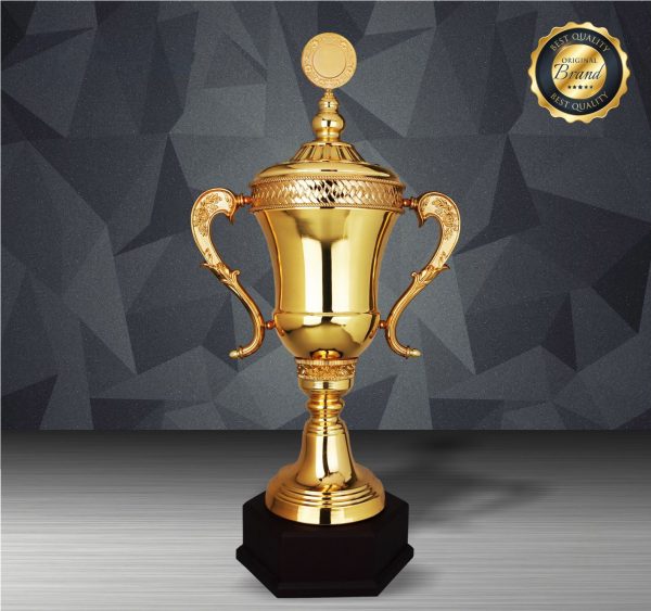 Silver Cup Trophies CTEXWS6210 – Exclusive Gold Silver Cup Trophy | Trophy Supplier at Clazz Trophy Malaysia