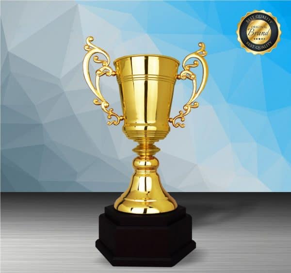 Silver Cup Trophies CTEXWS6211 – Exclusive Gold Silver Cup Trophy | Trophy Supplier at Clazz Trophy Malaysia
