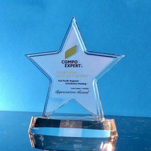 Special Acrylic Plaques CTSP5010 – Acrylic Star Plaque | Trophy Supplier at Clazz Trophy Malaysia